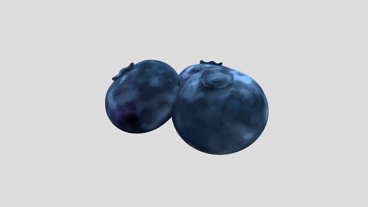 Blueberry 3D Model