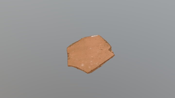 Brasilichnum saltatorium and invertebrate trail 3D Model