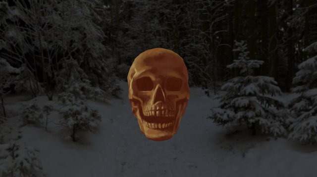 Skull From Life 3D Model