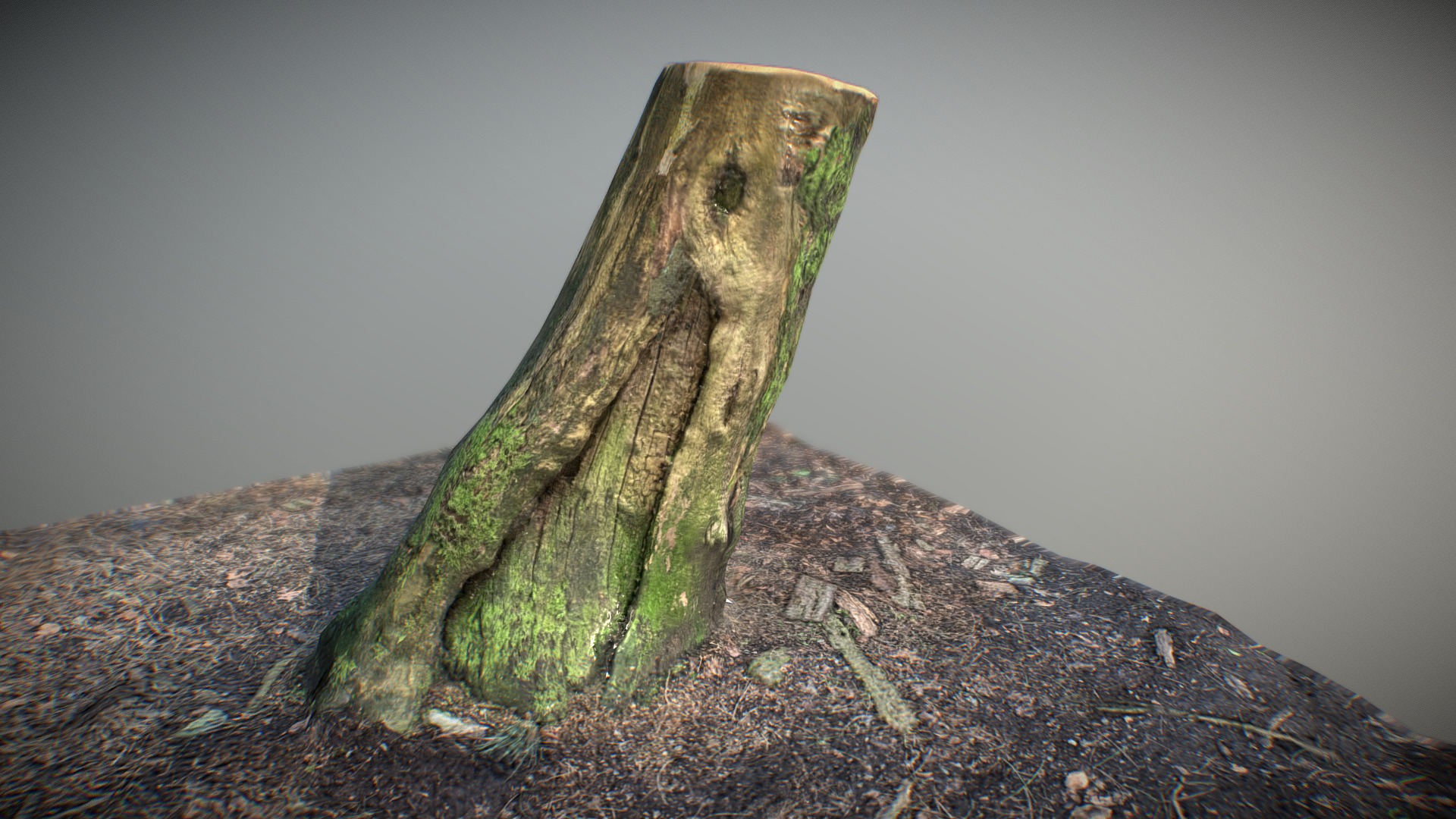 3D model Tree Trunk – 001 – Low Poly – Maps 2048 by 2048 - This is a 3D model of the Tree Trunk - 001 - Low Poly - Maps 2048 by 2048. The 3D model is about a tree stump on a rock.