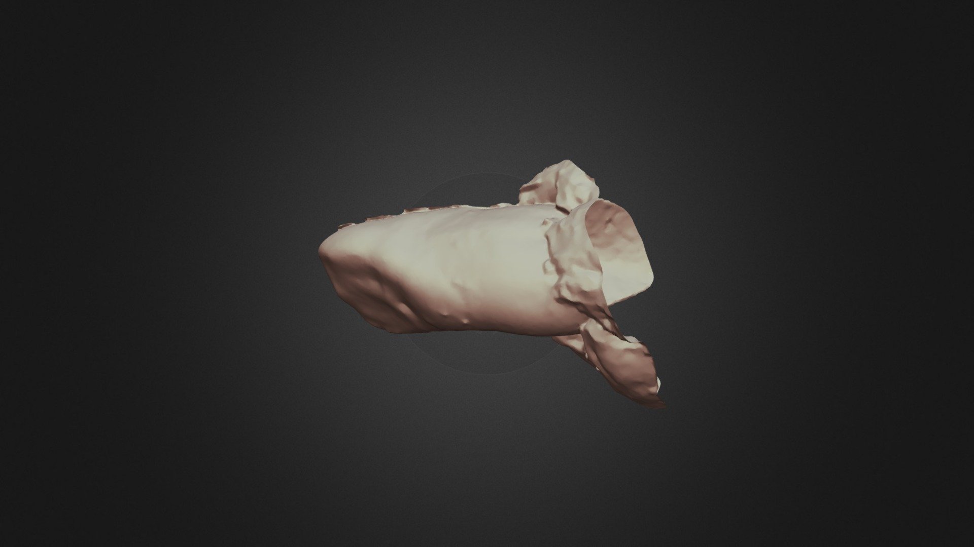 #6, G3 Scan2 Upper Jaw
