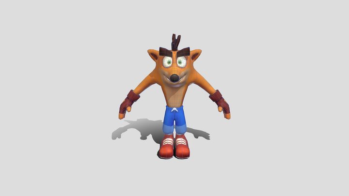 Crash 3D Model
