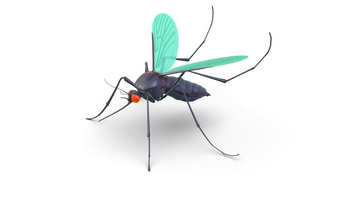High Poly Big Realistic Mosquito 3D Model