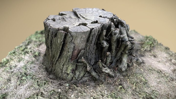 Stump in the meadow 3 – Modelo 3D gratuito STL