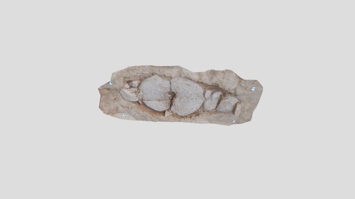 Migenial reconstrucción 3D 3D Model