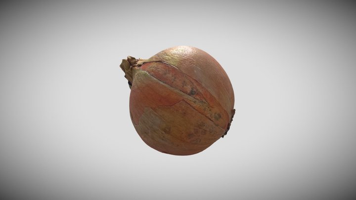 Onion 01 3D Model