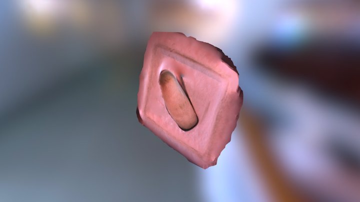 Left Orthotic 2 3D Model