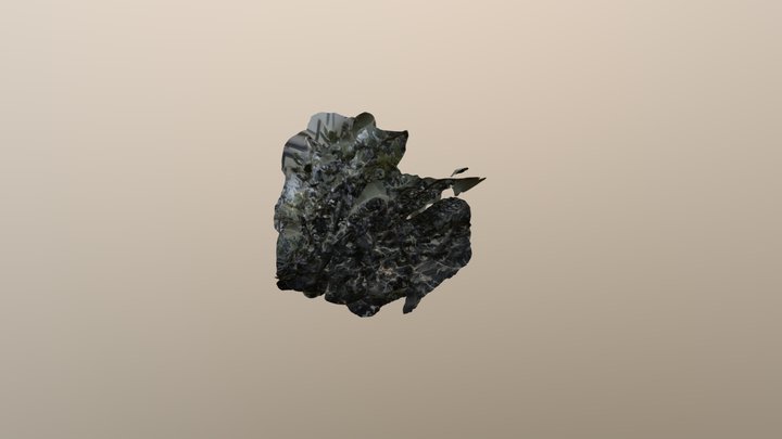 ~~~ 3D Model