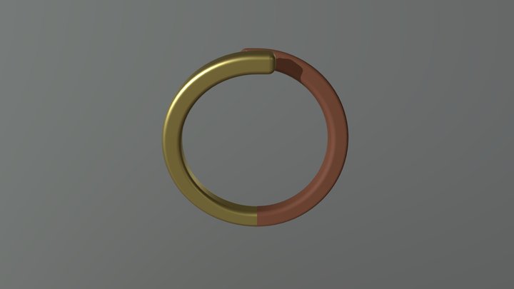Ring 2 3D Model