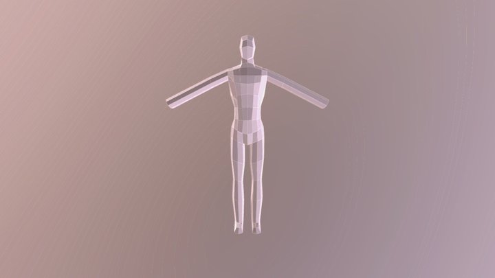 Humanoid Model, Testing 3D Model
