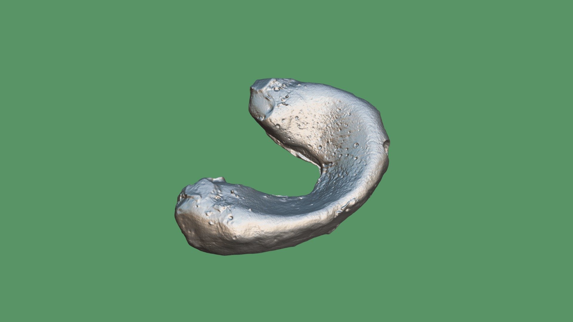 Ear Cartilages
