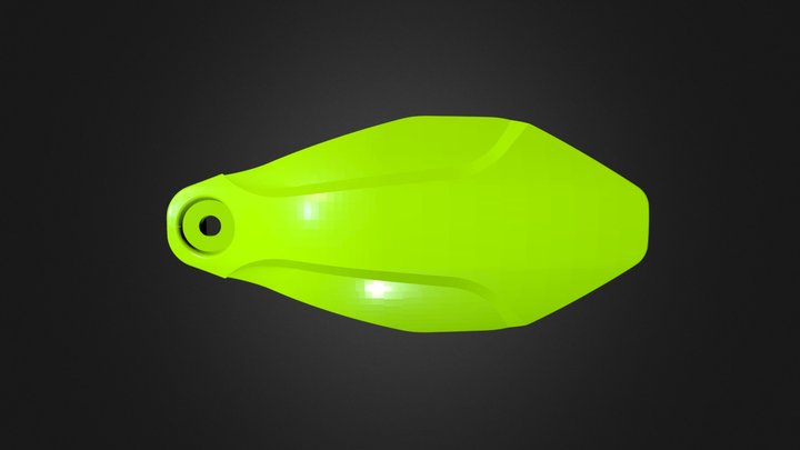 Coque de Protection 3D Model