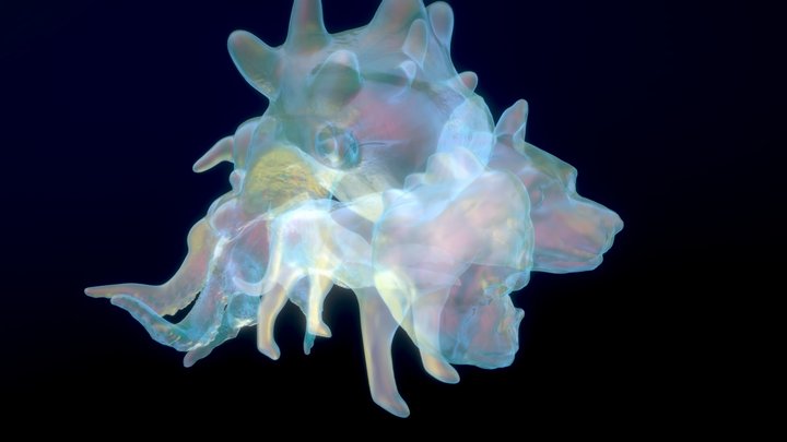 Composed Animal (2024) 3D Model