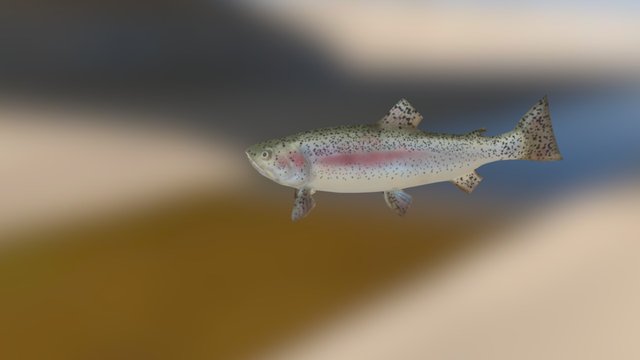 500 3D Model