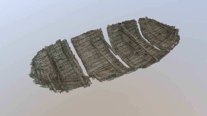 Wreck of the Lootsi Cog (14th century) 3D Model