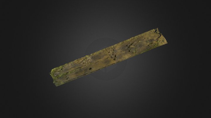 Pirogue Brodeau Etude 3D Model