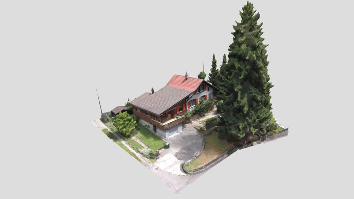 Einfamilienhaus in Teufenthal 3D Model