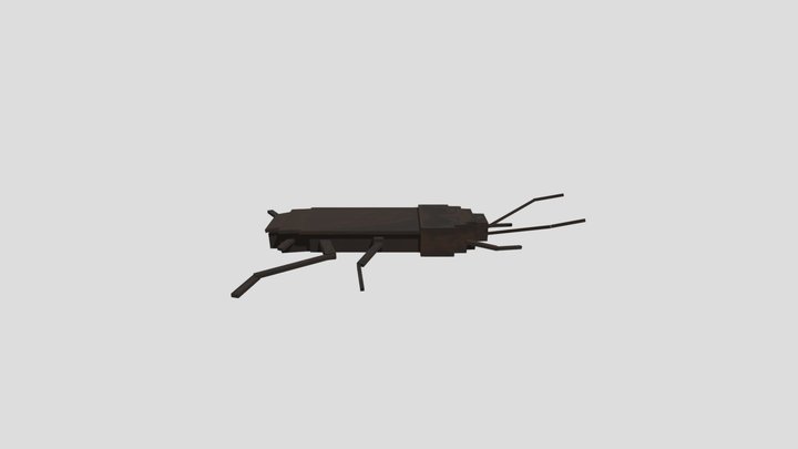 Cockroach 3D Model