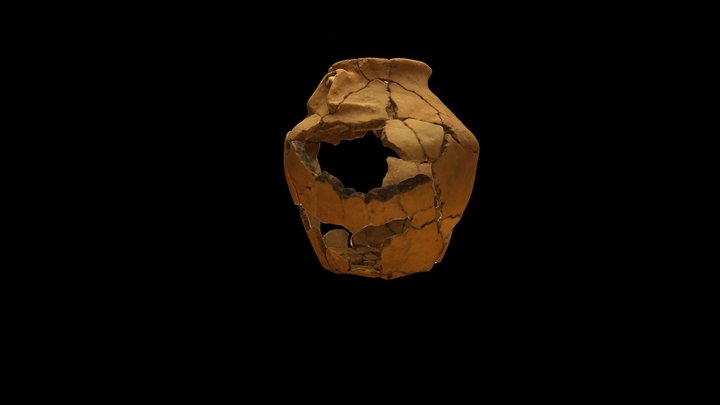 Тасмолинский сосуд/ Vessel 3D Model