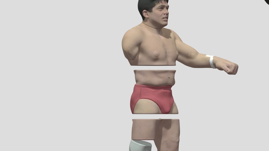 ProWrestling
