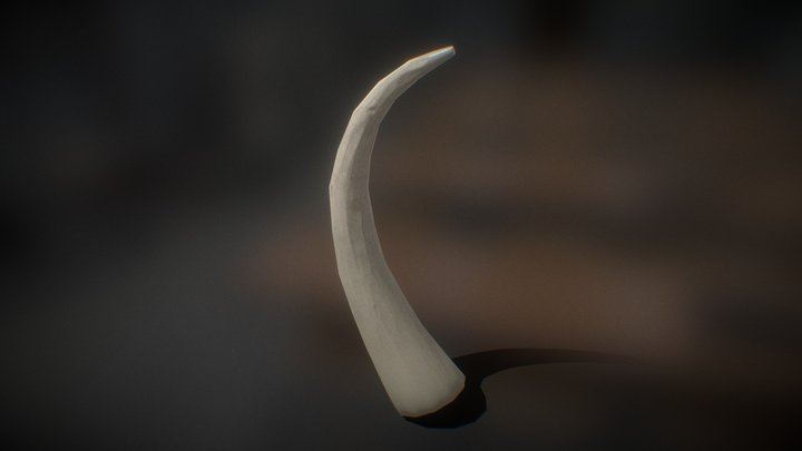 Stylized TeethBone Game PBR 3D Model