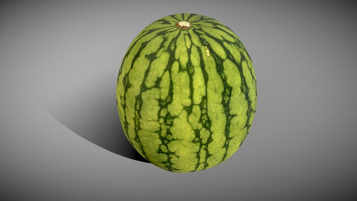 スイカ🍉 Suika -Water Melon- 3D Model