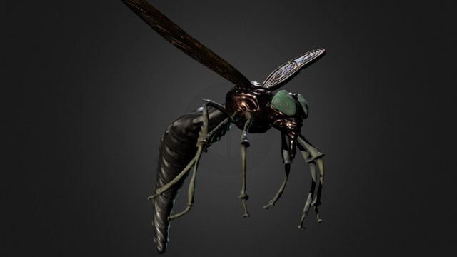 Insekt 3D Model