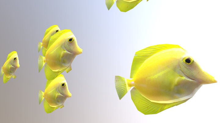 Fish 3D Model