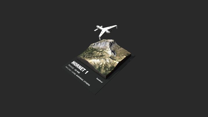 Hornet_1_06_fbx02 3D Model