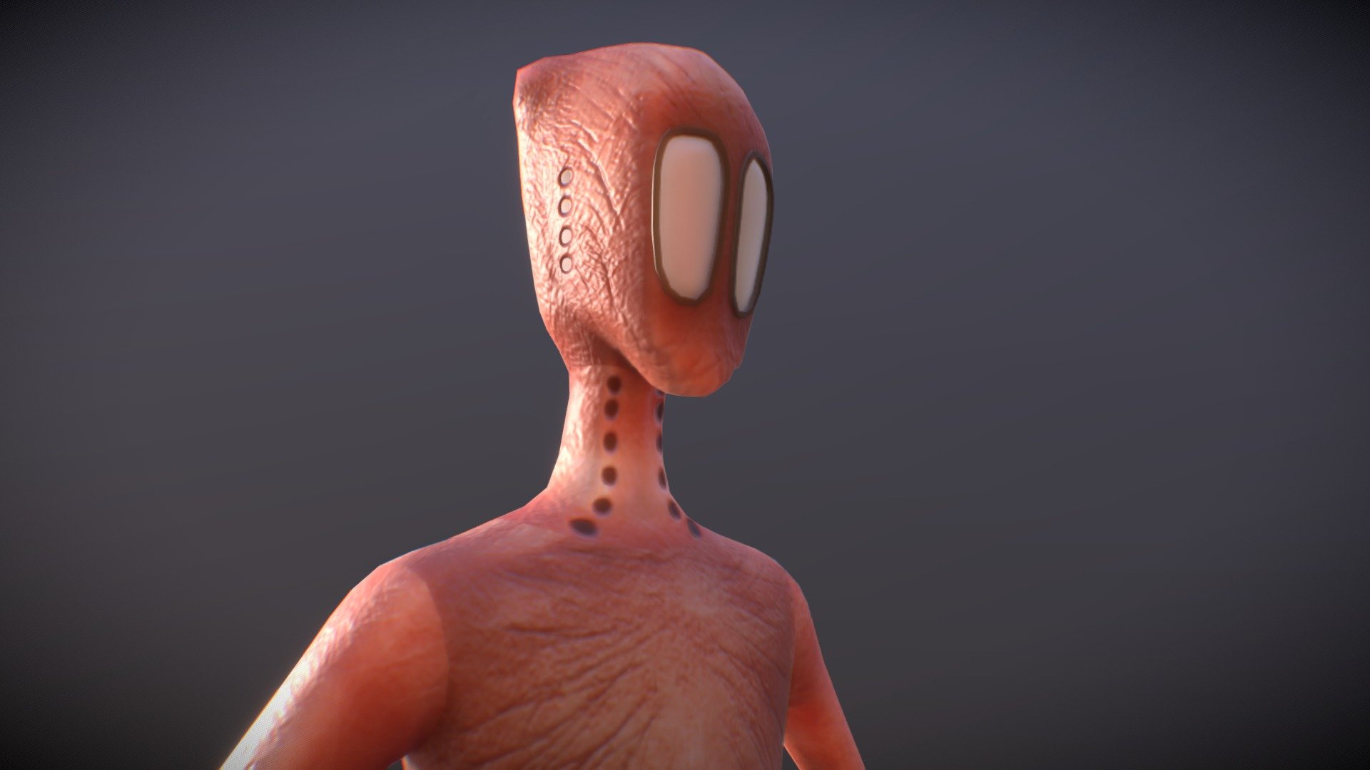 Vark - 3D model by GustavoRam (@phoenixgrf) [e558517] - Sketchfab