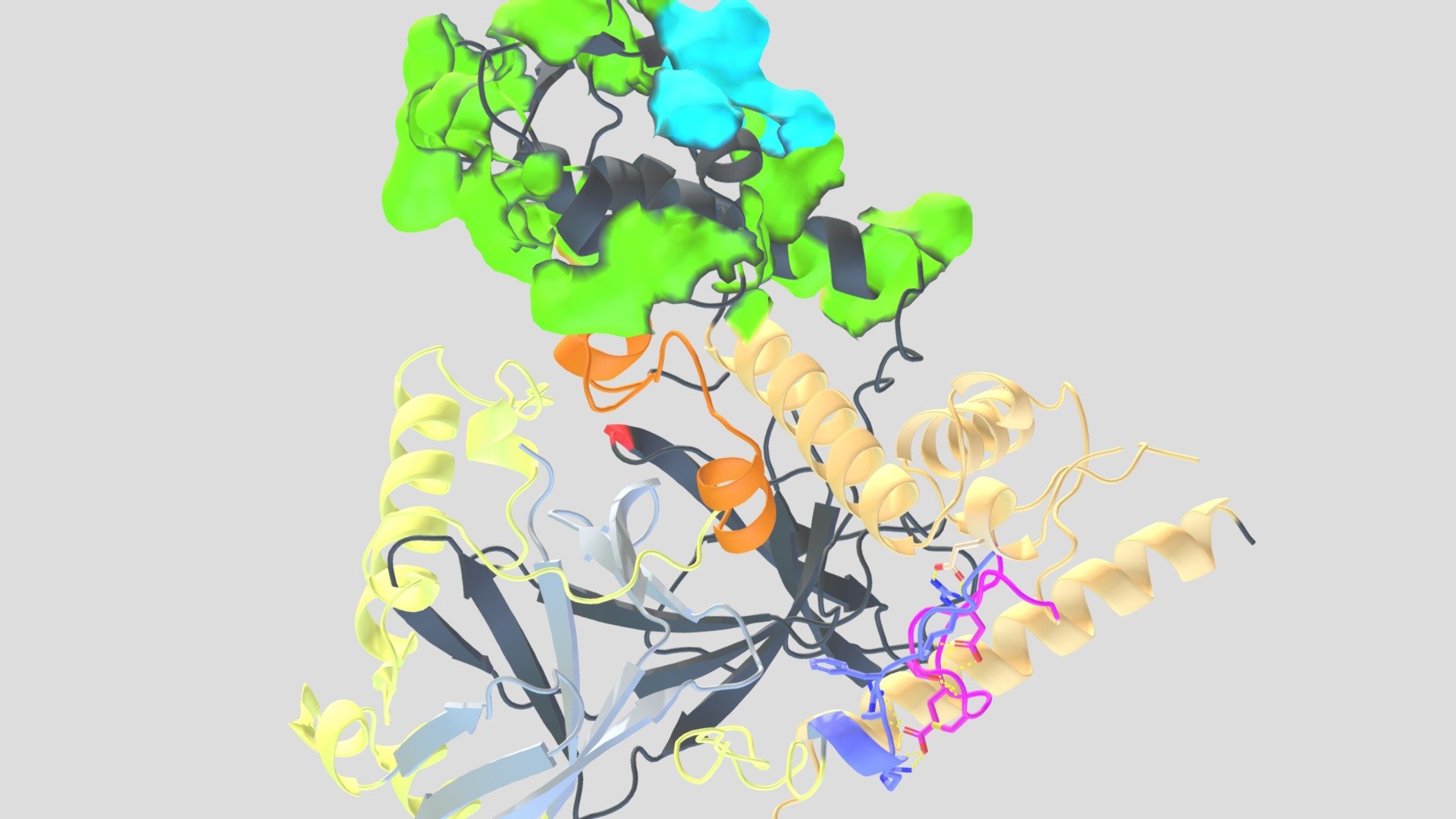 TFIID subunits: TAF1-TAF7 complex - 3D model by sunnleey [e558ef1 ...