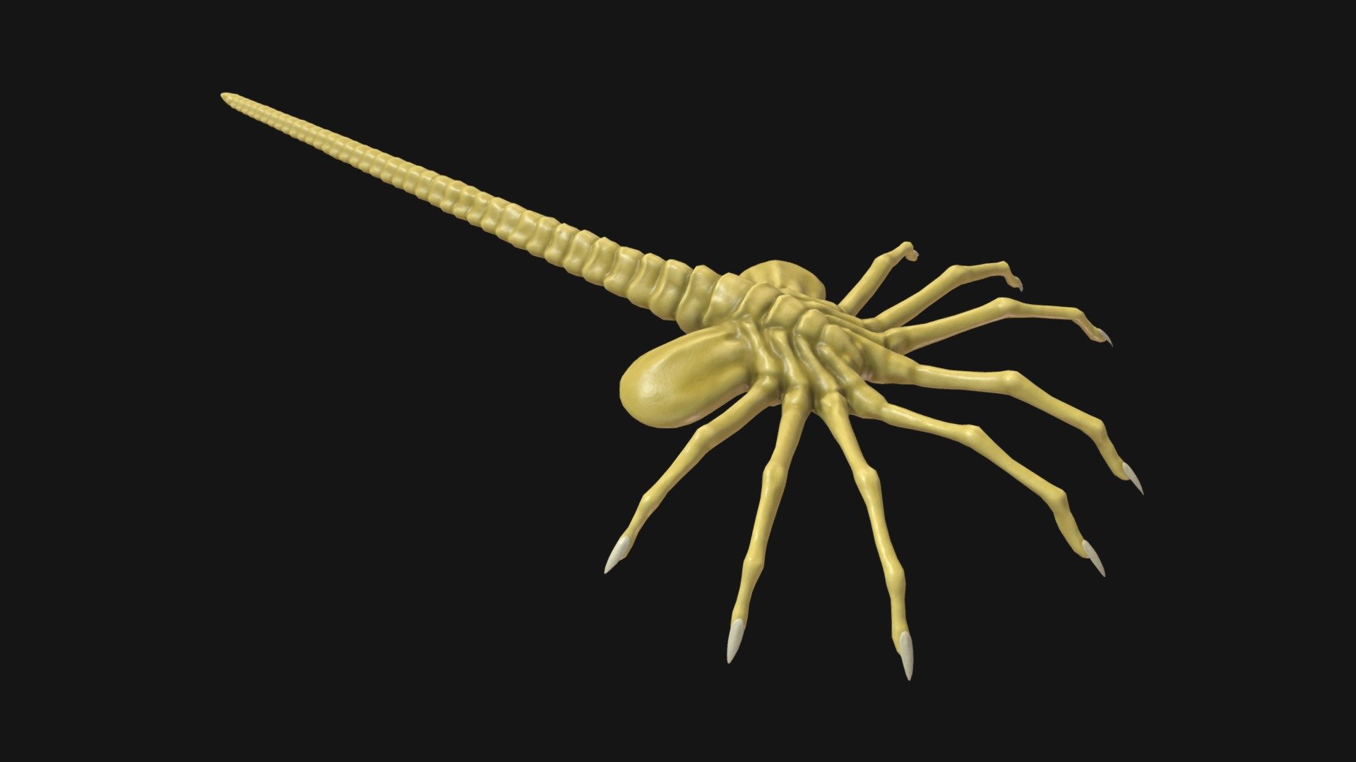 Facehugger 3D model by Kernee [e55904a] Sketchfab