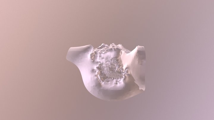 Frame0500 Highres Lapace5 3D Model