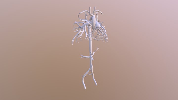Arteries 3D Model