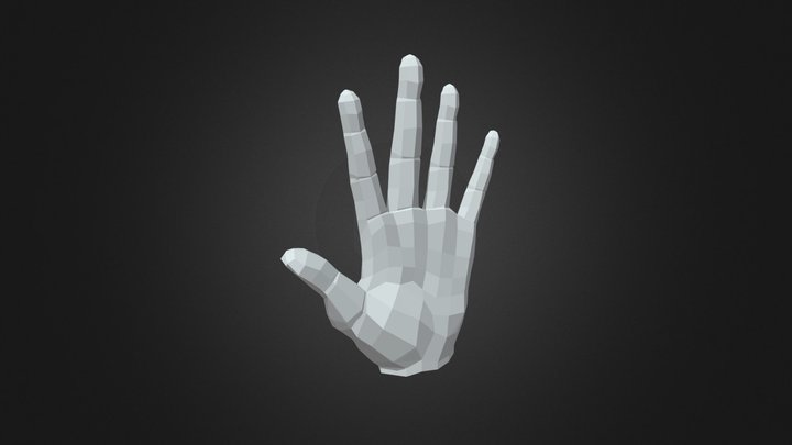 Hand Base Mesh 3D Model