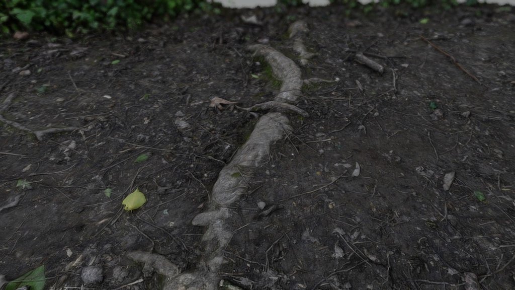Ground/Path scan - 3D model by 3dsam79 [e55b2e9] - Sketchfab