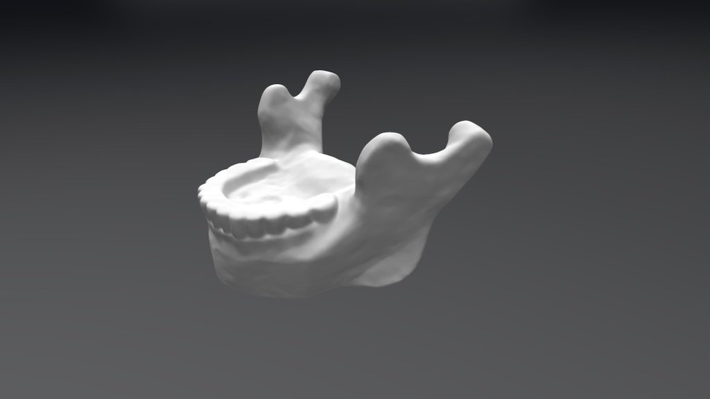 Simplified model of knees - 3D model by threeding.com [e55d9f2] - Sketchfab