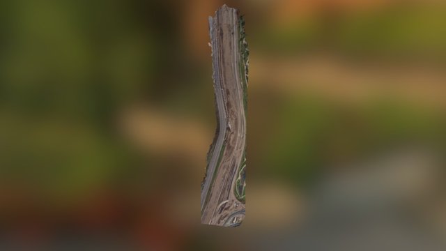 Costanera Model 3D Model