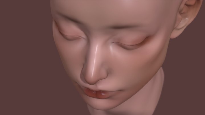 3D Female Head Sculpt Practice 3D Model