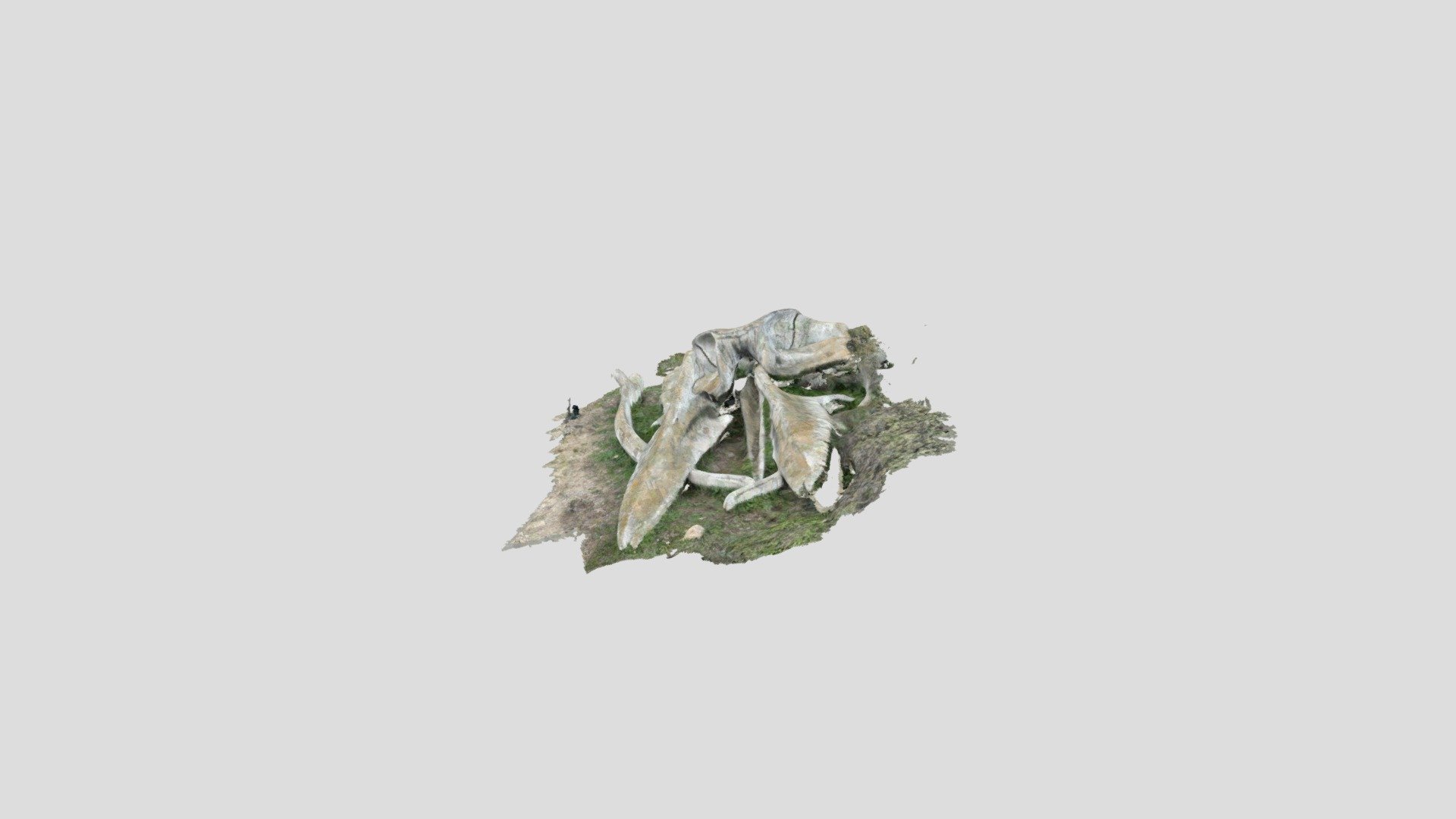 New Model — Sketchfab embed 3D viewer