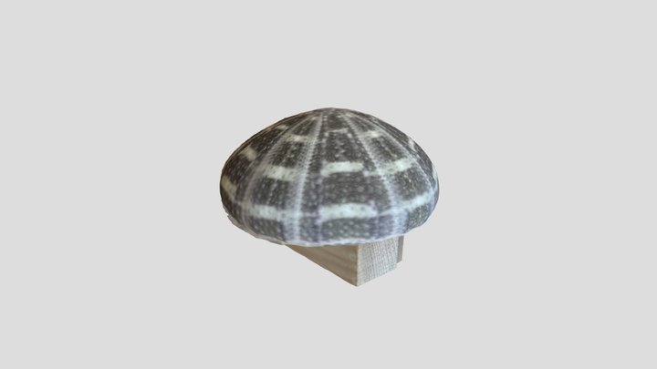 Demo 3/10 3D Model