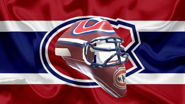 Masque Canadiens Patrick Roy mask ,goalie mask