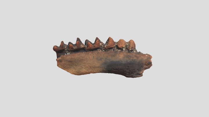 JS221 3D Model