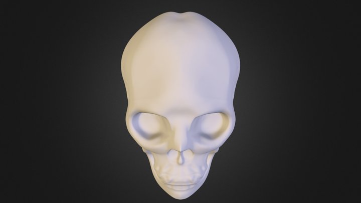 medium skull2.obj 3D Model