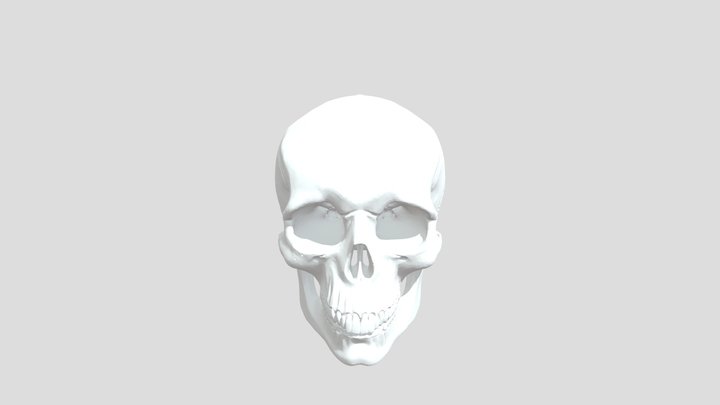 Simple angular skull 3D Model