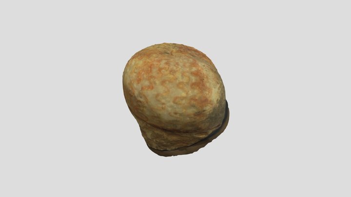 Ceratites（セラタイト） 3D Model