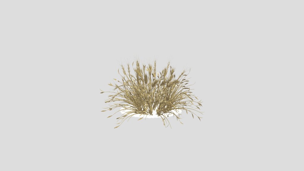 Sj Graceful Bush Design