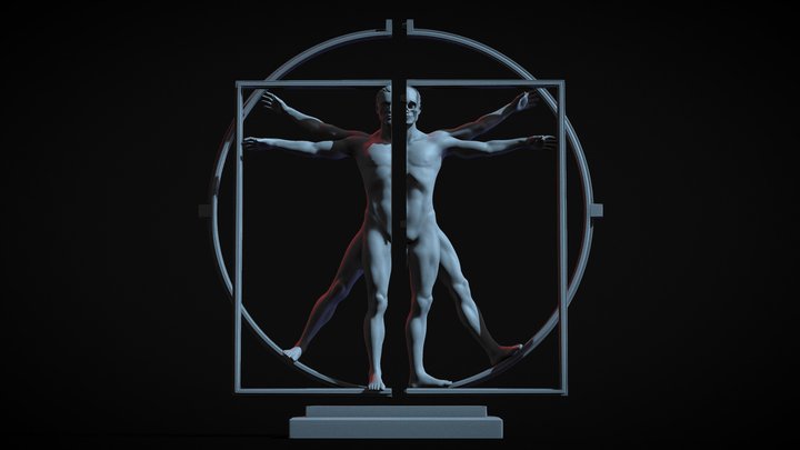 The Vitruvian Man - omsx - (cuts) 3D Model