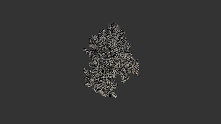 Tree V9 OBJ 3D Model
