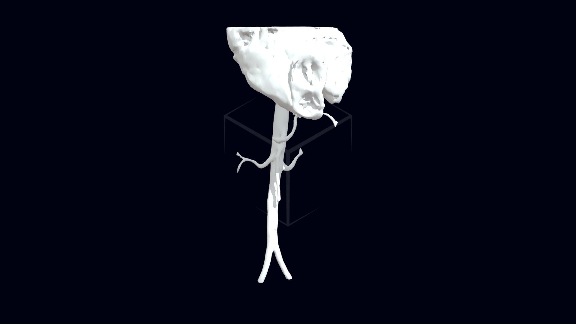 test-background-11
